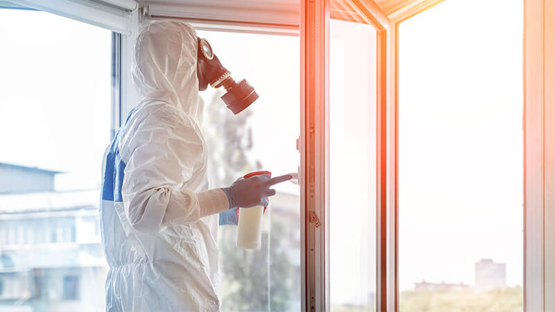 sewage cleanup sewage cleanup