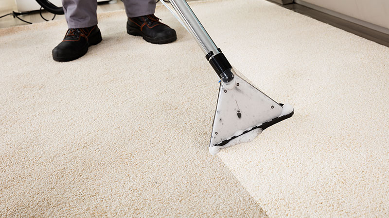 professional carpet cleaning professional carpet cleaning