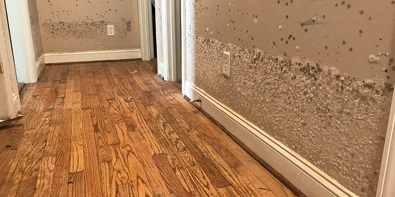 water damage restoration water damage restoration