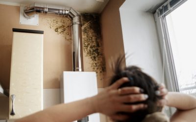 Mold on Walls: Find It, Remove It, And Keep It from Coming Back!